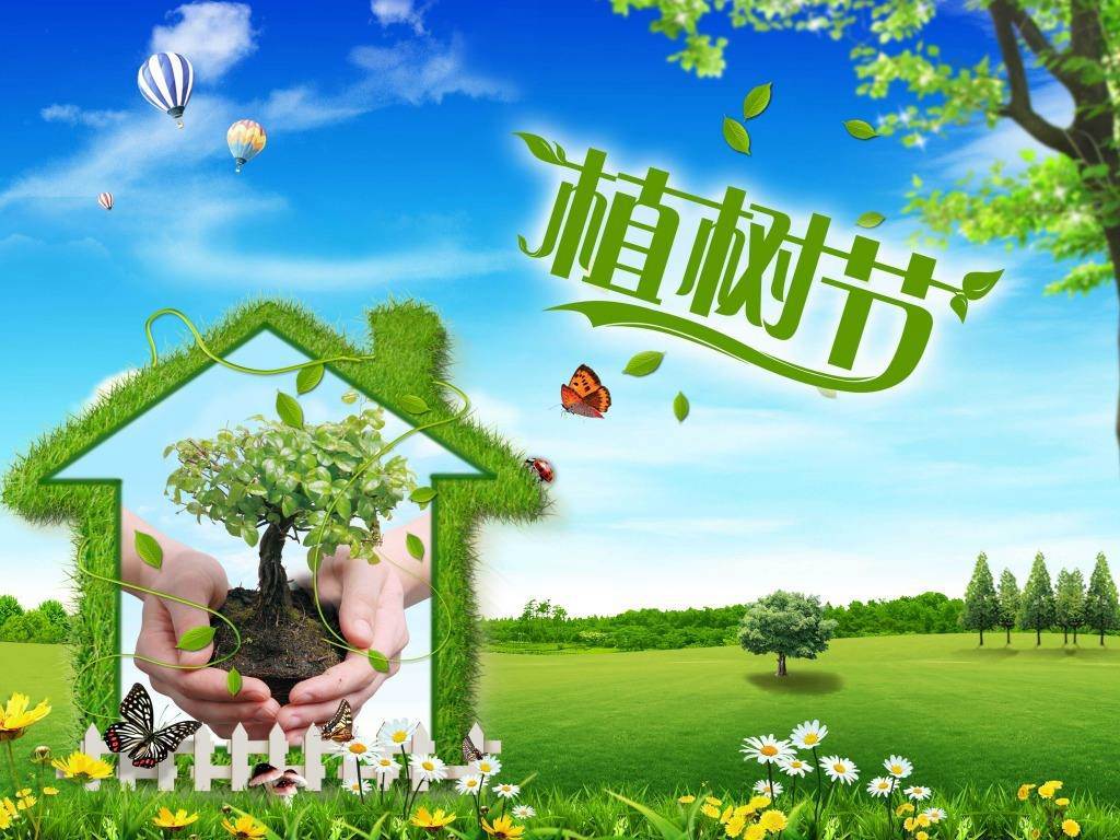 北京現(xiàn)代“智現(xiàn)代，植未來”，你我共建森林邵陽