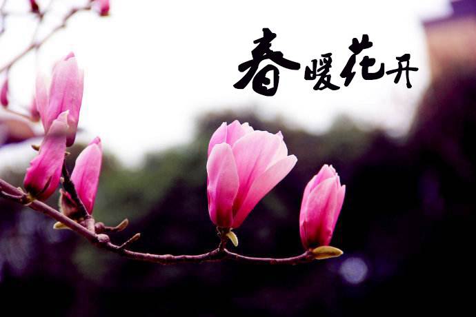 春暖花開 教你春季如何做汽車保養(yǎng)！